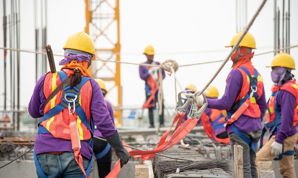 Manpower Supply 